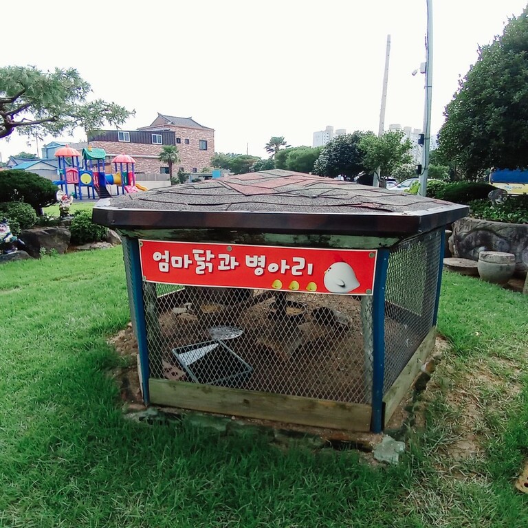 엄마닭과 병아리